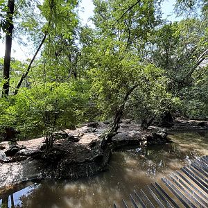 Siamese Crocodile Exhibit