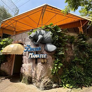 West African Manatee Exhibit