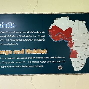 West African Manatee Sign