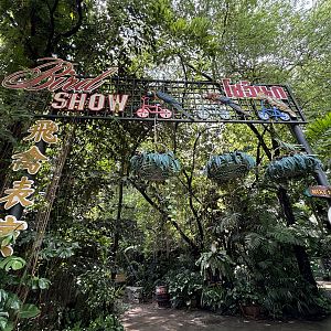 Bird Show - entrance area