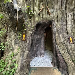 Toilets - by Bird Show