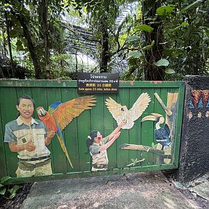 Bird Show Area