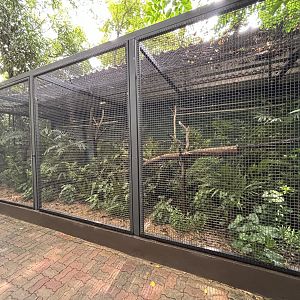 Golden Conure Aviary