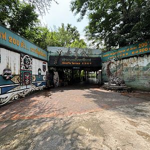 Giraffe Terrace - advertising 200+ Giraffes!