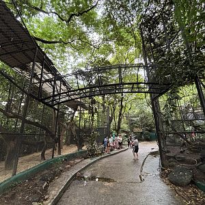 Leopard Exhibit - high!