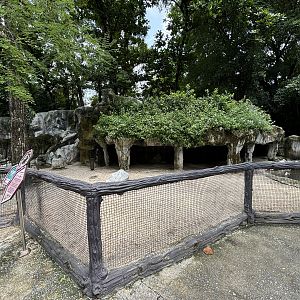 Capybara Exhibit