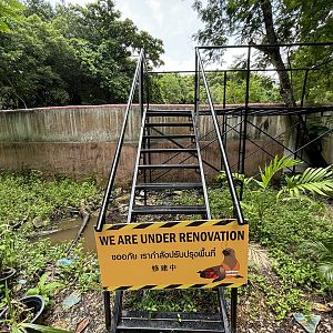 Huge Exhibit - under construction