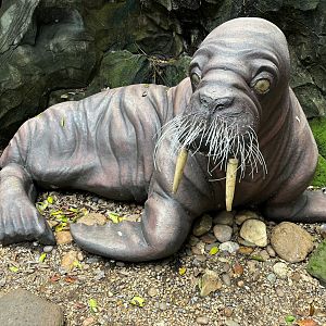 Walrus Statue