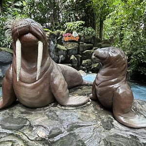 Walrus Statues
