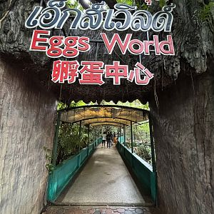 Eggs World - entrance