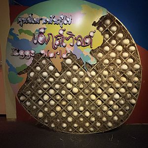 Eggs World - entrance display