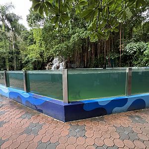Mekong Giant Catfish Exhibit