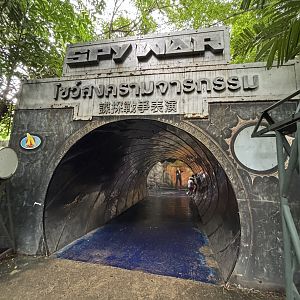 Spy War Show Entrance
