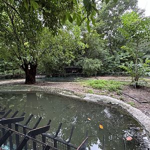 False Gharial Exhibit #1