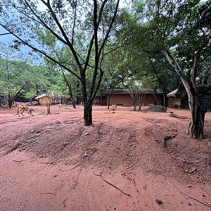 Camp Kangaroo - New in 2022