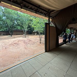 Camp Kangaroo - New in 2022