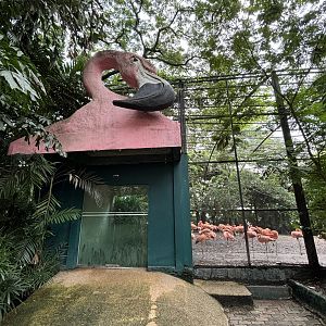 Flamingo Aviary