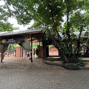 Camp Kangaroo - New in 2022