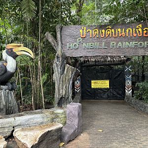 Hornbill Rainforest - under construction