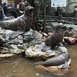 Pinniped Statues