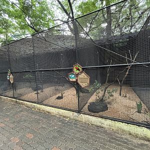 Lesser + Greater Vasa Parrot Aviaries