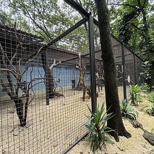Triton Cockatoo Aviary