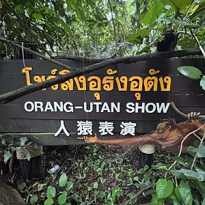 Orangutan Show Sign