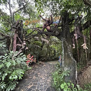 Orangutan Show Entrance - we skipped it