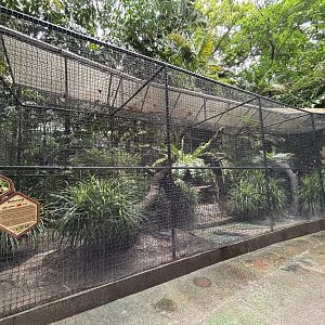 Binturong Exhibit