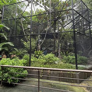 Mandrill Exhibit