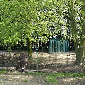 Emu separation paddock, 2024-05-11