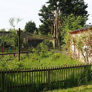Native insect garden, with Jungle cat exhibit in the background, 2024-05-11
