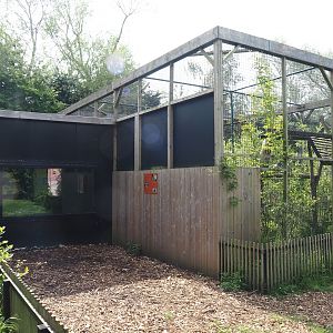 Ocelot exhibit and viewing window for Ocelot indoor exhibit, 2024-05-11