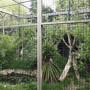 First Ocelot exhibit, 2024-05-11