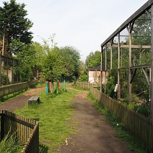 Park view between Ocelot and Jungle cat exhibits, 2024-05-11