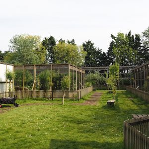 Small cat exhibits, 2024-05-11