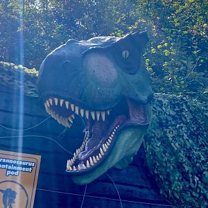 Tyrannosaurus - August 2024