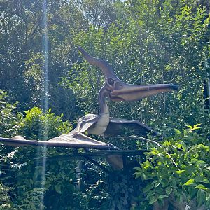Pteranodon - August 2024