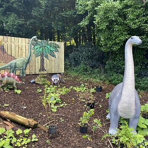 Brontosaurus, Stegosaurus, Triceratops and Brachiosaurus - August 2024