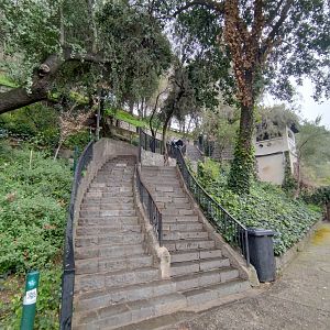 Stairway to the zoo - Santiago Zoo (Zoologico nacional)