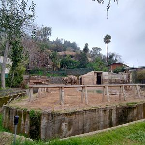 African elephant exhibit - Santiago Zoo (Zoologico nacional)