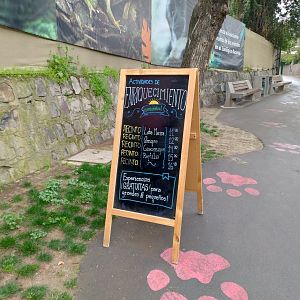 Enrichment schedule - Santiago Zoo (Zoologico nacional)