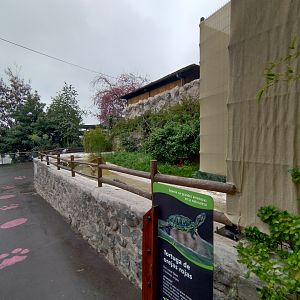 Red-eared slider exhibit - Santiago Zoo (Zoologico nacional)