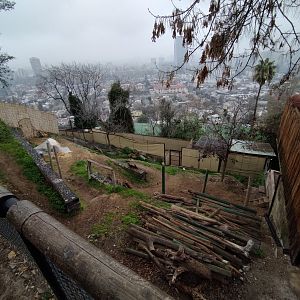 Empty exhibit - Santiago Zoo (Zoologico nacional)