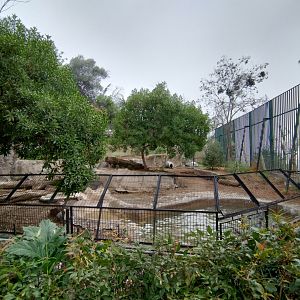 Former brown bear exhibit (holding humboldt penguin) - Santiago Zoo (Zoologico nacional)