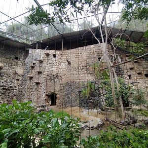 Andean condor exhibit - Santiago Zoo (Zoologico nacional)