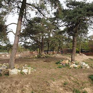 Southern white rhinoceros separation paddock, 2024-04-06