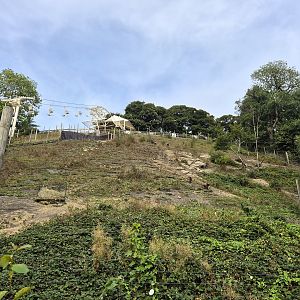 One of the gelada enclosures.
