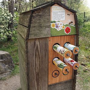 Educational display about insect hotels, 2024-04-06