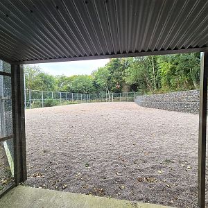 Second giraffe paddock